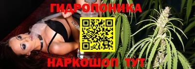 дурь Лесосибирск